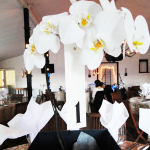 Orchid Centrepiece Display