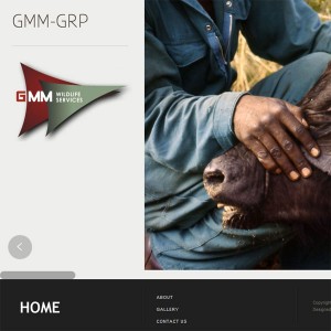 Webiste GMM-GRP Group